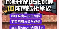 DSE培训最强学校指南 课程特色与成功案例详解