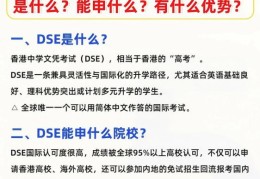 机构DSE补课课程 高效提升中文与通识科应试技巧