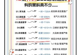 DSE课程费用解析 如何选择高性价比的培训班