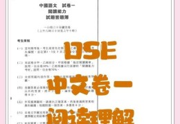 DSE中文科培训指南 哪里好？重点攻克阅读与写作难关
