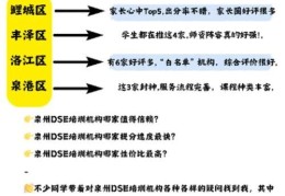 DSE培训哪个机构靠谱？资深导师对比评测解析