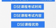 香港DSE中文科培训指南 掌握核心技巧轻松备战