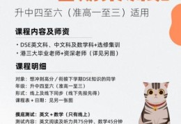 DSE辅导班怎么选？靠谱机构的教学特色与成功案例解析