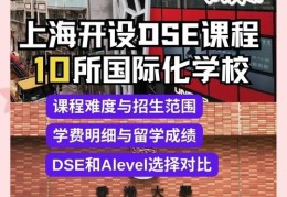 上海DSE培训机构哪家好？资深导师团队精准提分