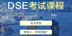 香港DSE补习机构全解析 高效提分策略与名师推荐