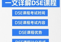 选择香港DSE教育机构 五大关键考量因素解析
