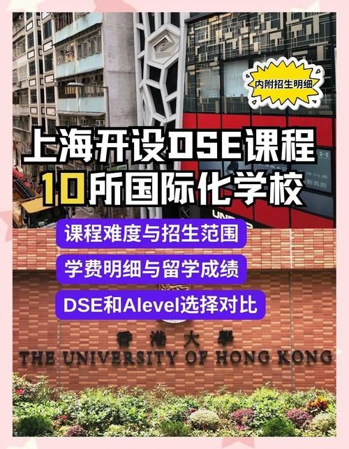 报读DSE线上培训 针对薄弱科目定制你的专属提升方案