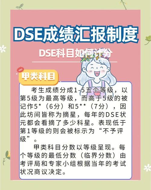 如何规划DSE学习费用？三大备考方案与成本对比