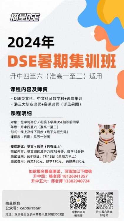 DSE辅导班怎么选？靠谱机构的教学特色与成功案例解析