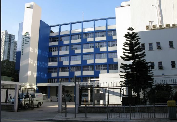 香港元朗区中学排名全览 家长必读的选校评估报告