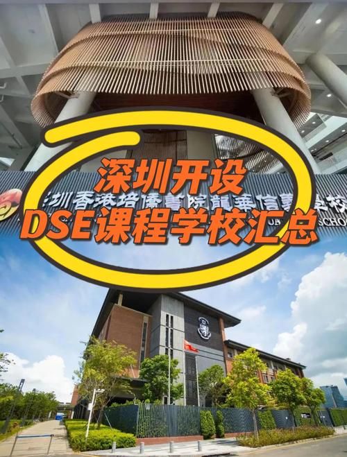 DSE深圳全日制补习 资深港籍导师团队亲授