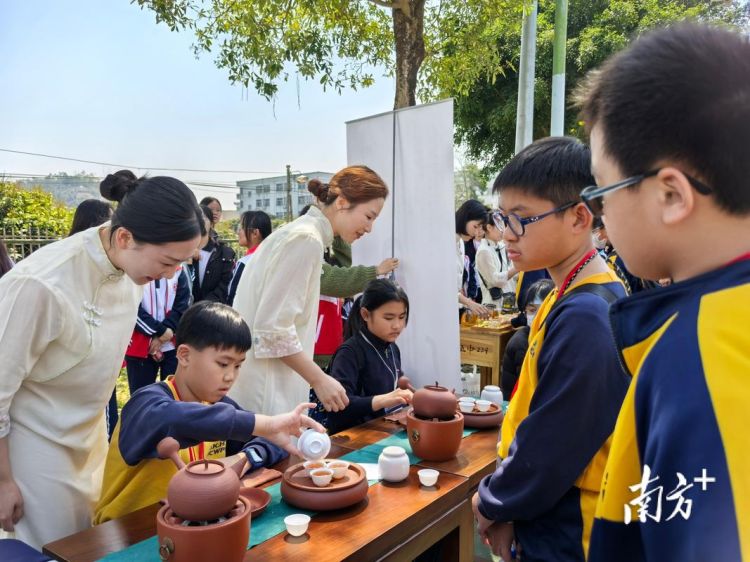 香港高中生活实录 课程特色与校园文化体验